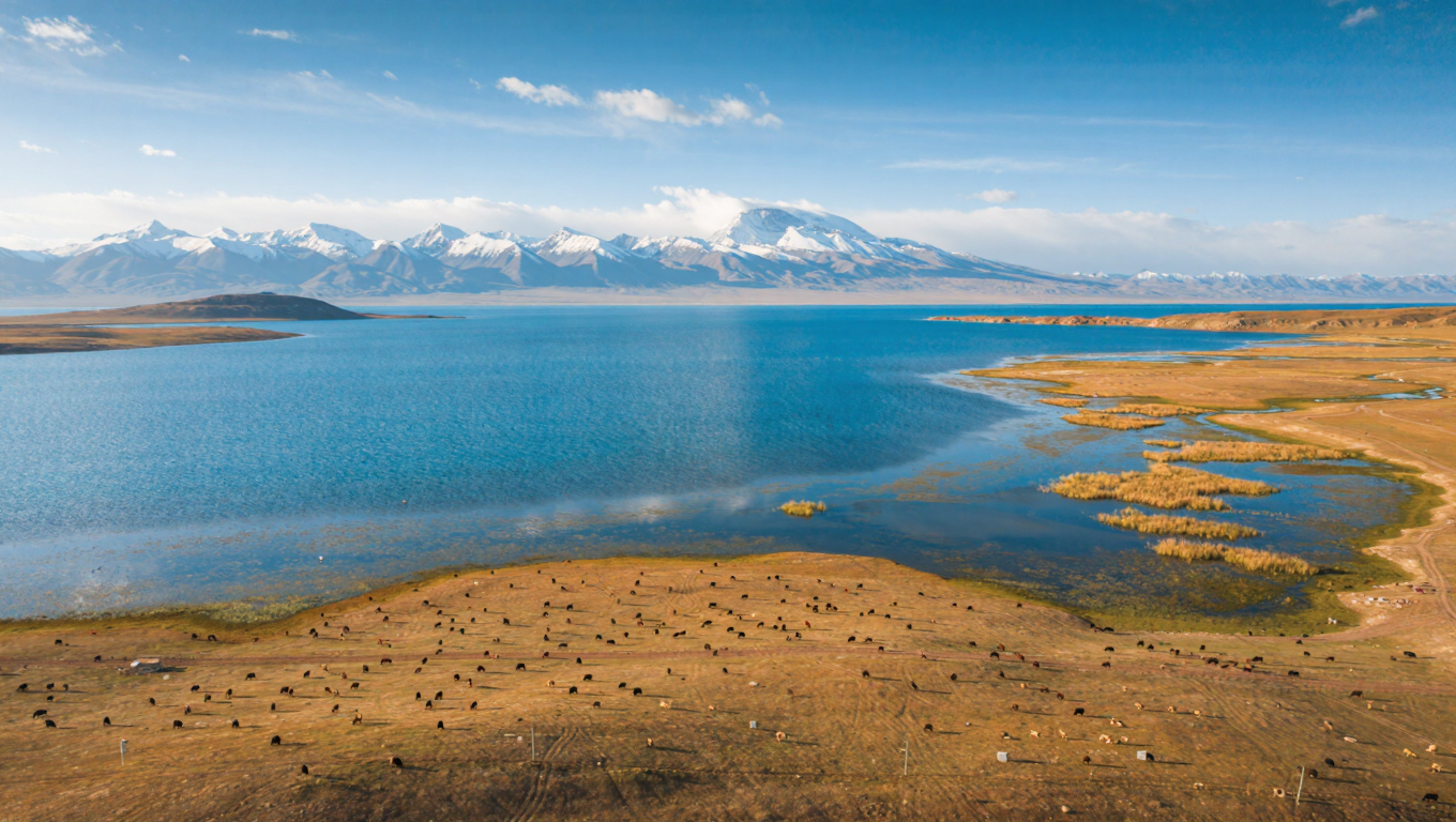 Qinghai