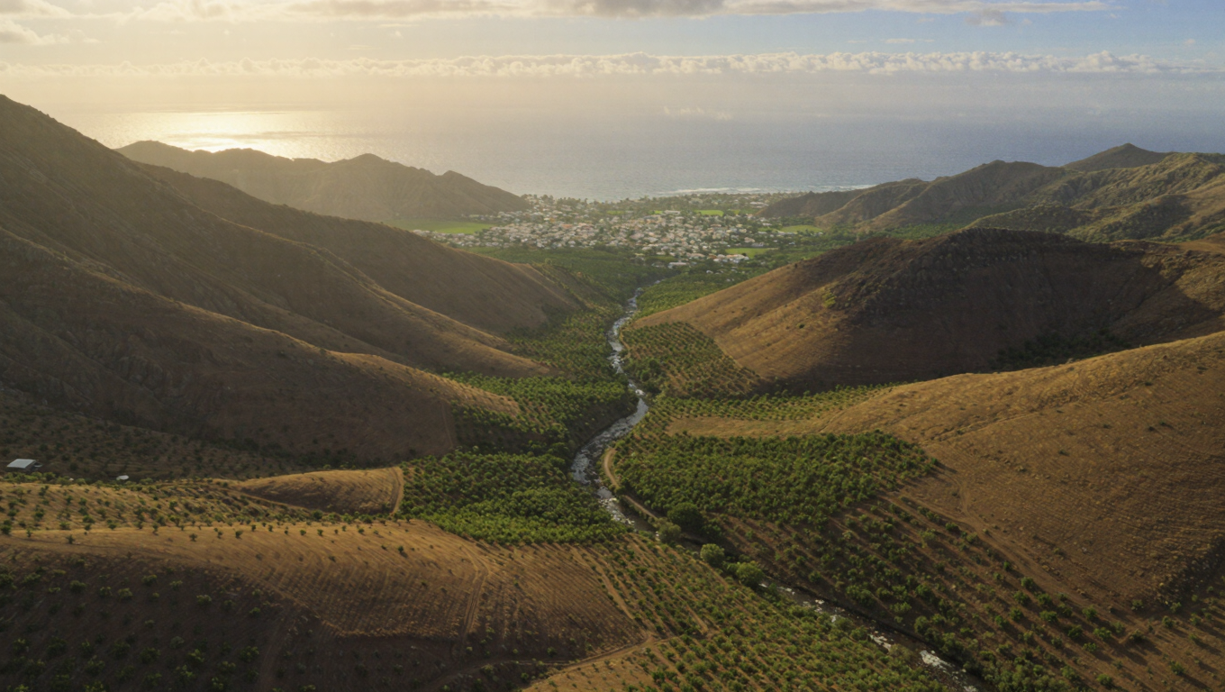 RibeiraBrava