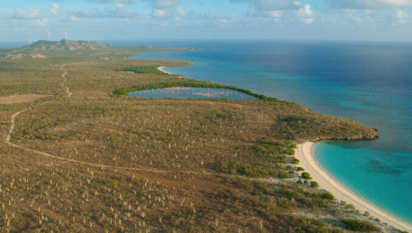 Pedernales