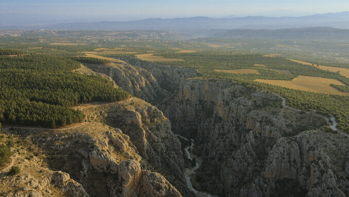 Médéa
