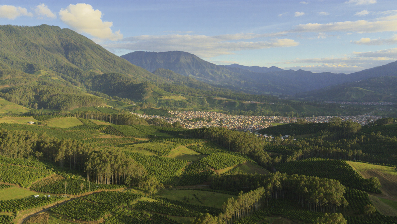 Jalapa