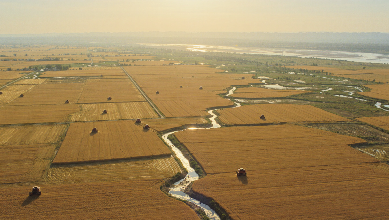 Punjab