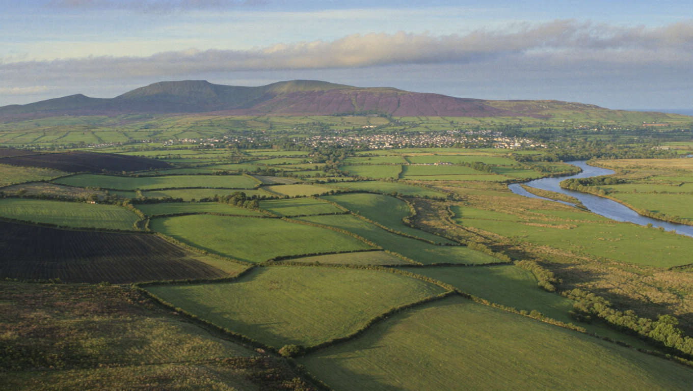 Laois