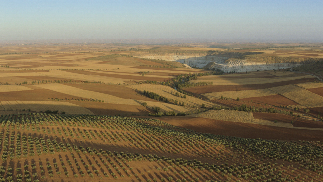 Chaouia-Ouardigha