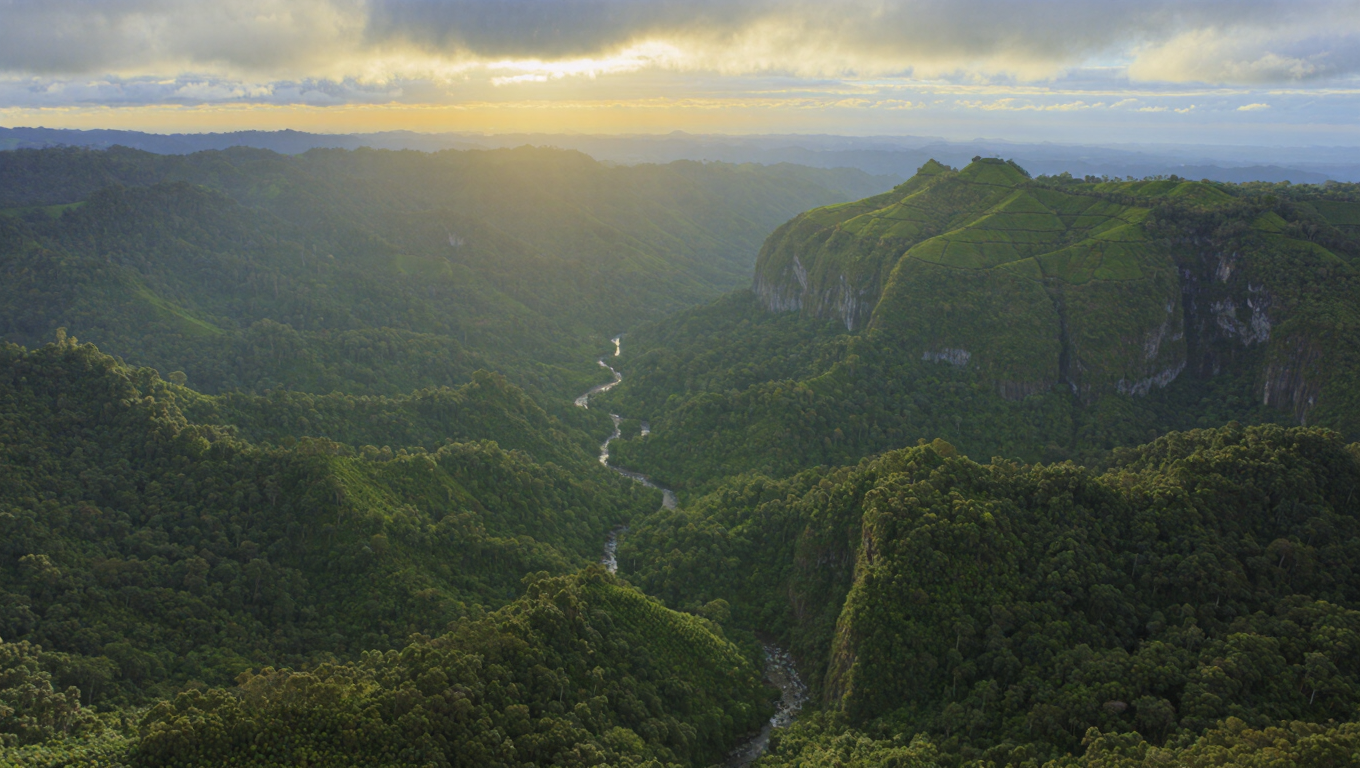 Orocovis