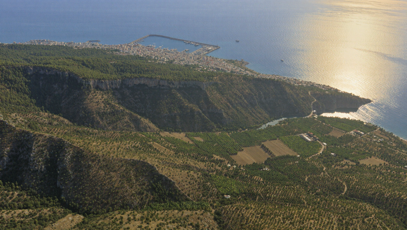 Lattakia