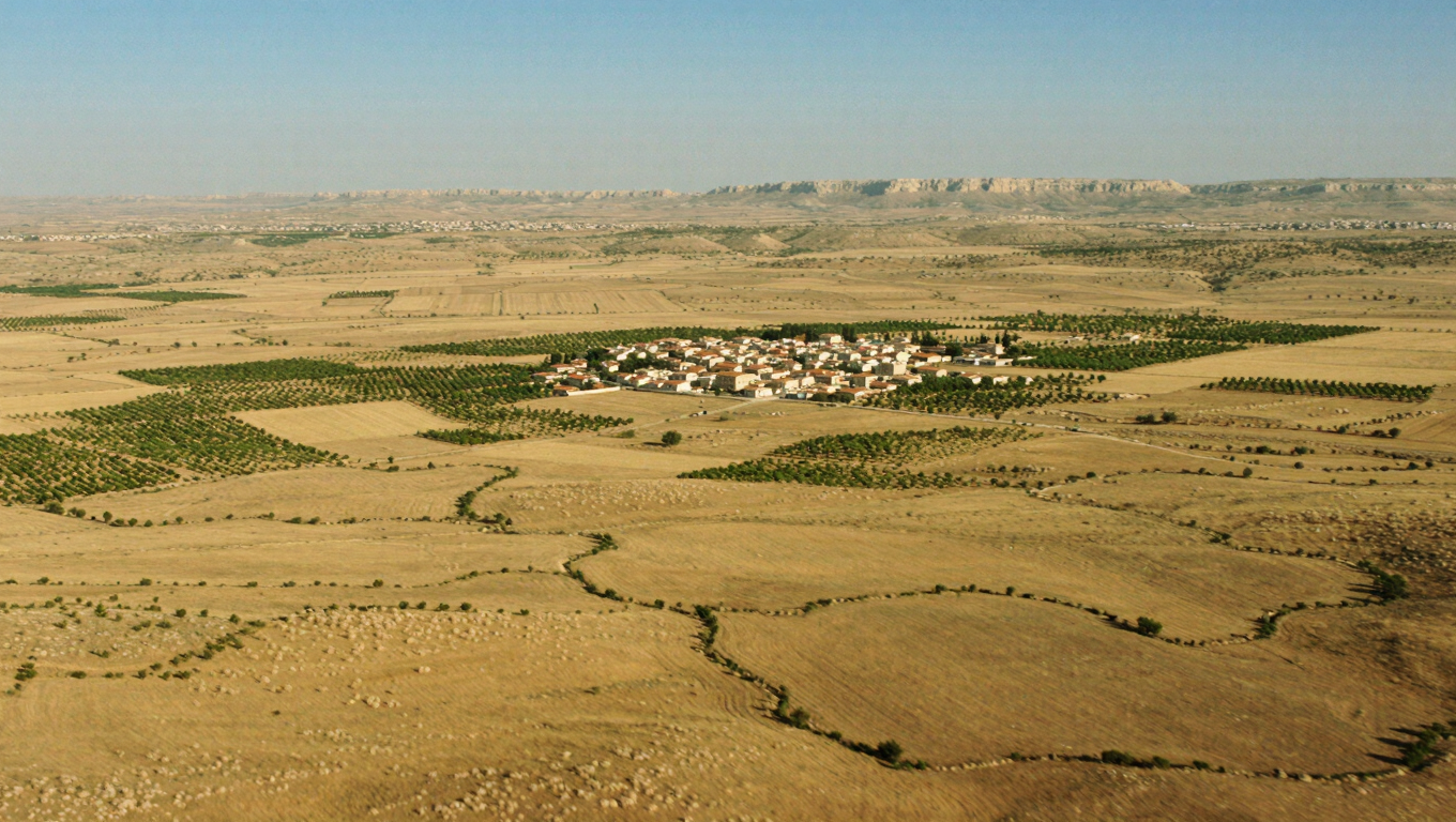 SidiBouZid