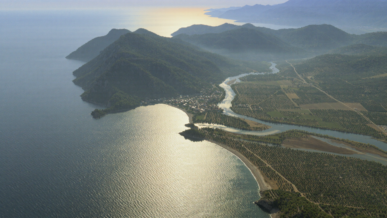 Ordu