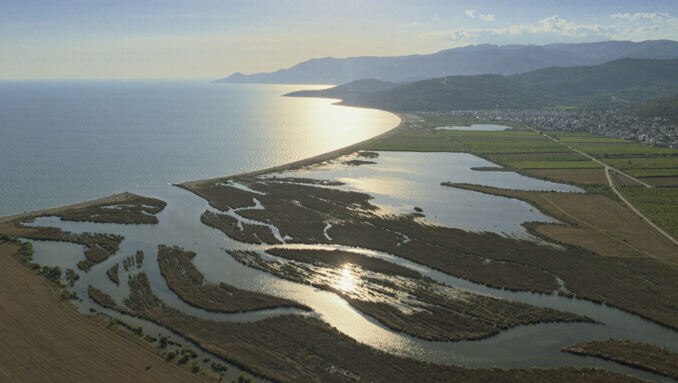 Samsun