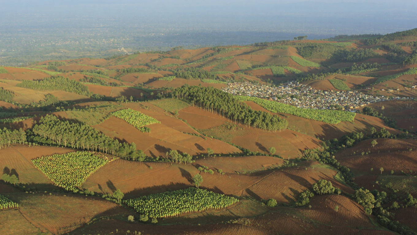Arua