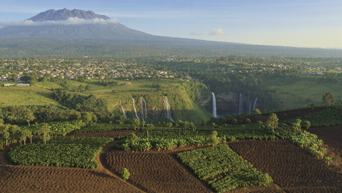 Mbale