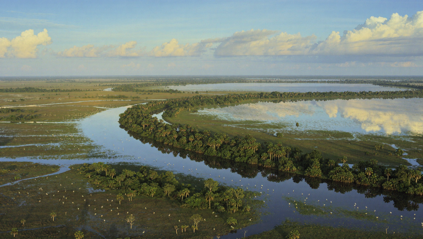 Apure