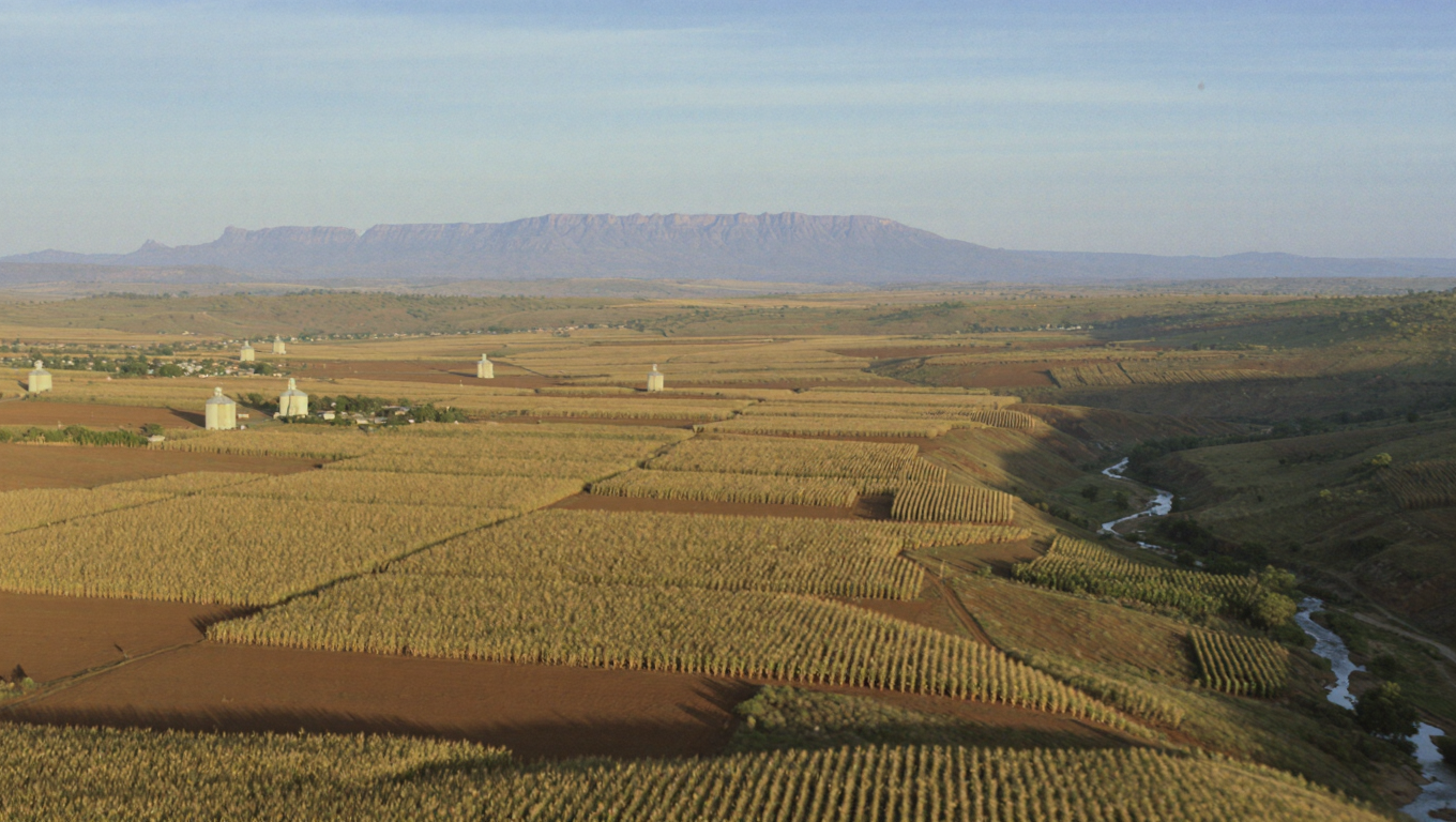 FreeState